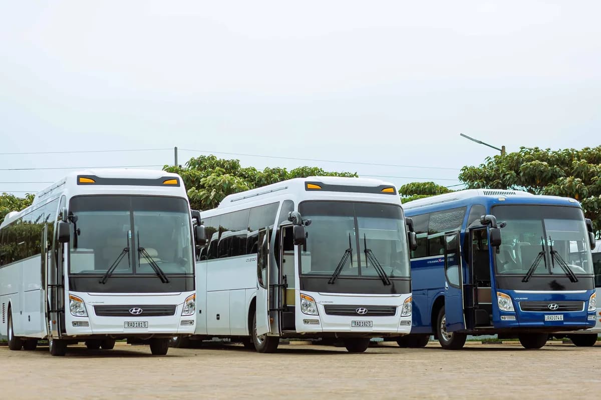 Three coach buses parked side by side from large to mini — matching party-bus size to group size