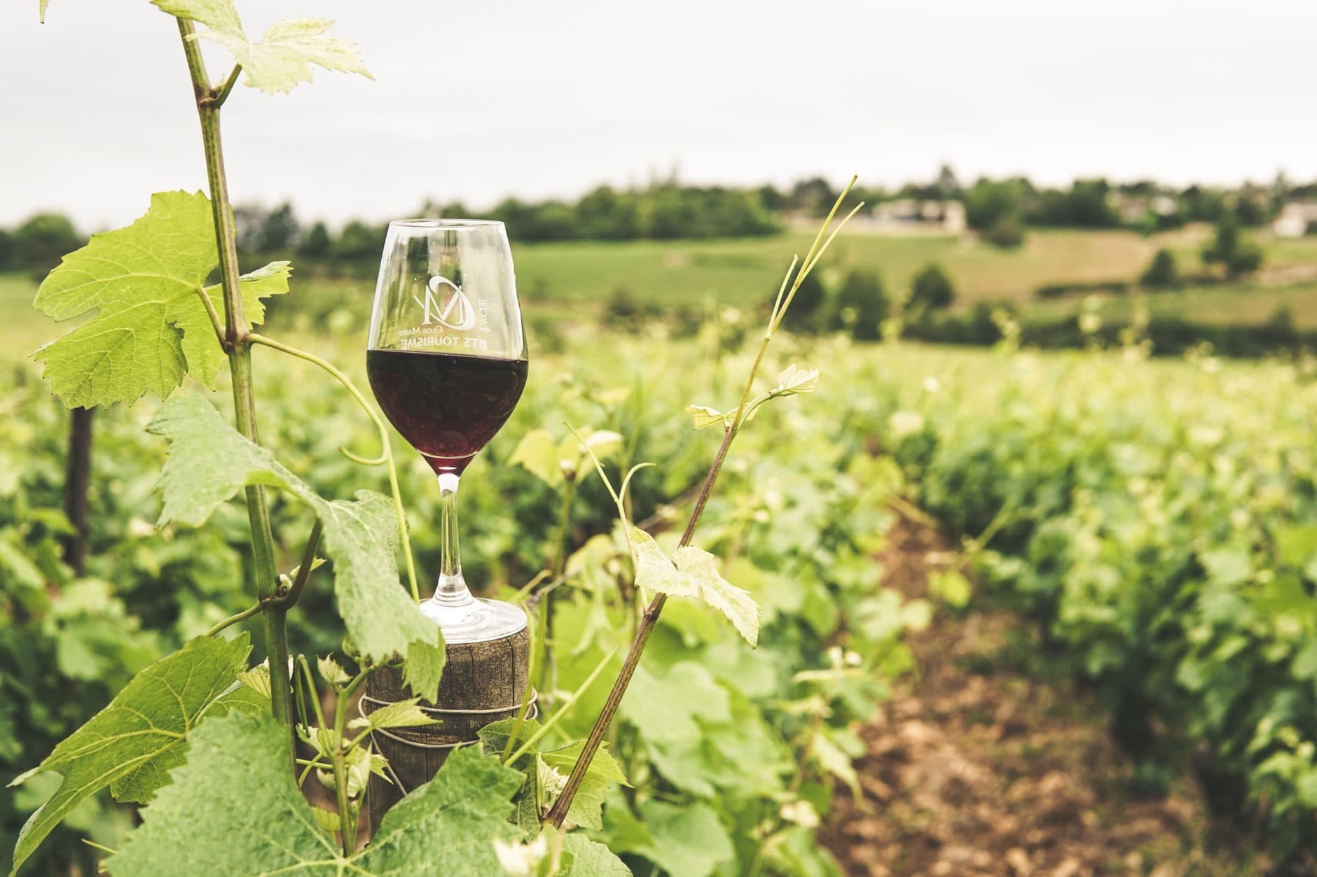 Brewery & Winery Tours in Chicago Limos Directory