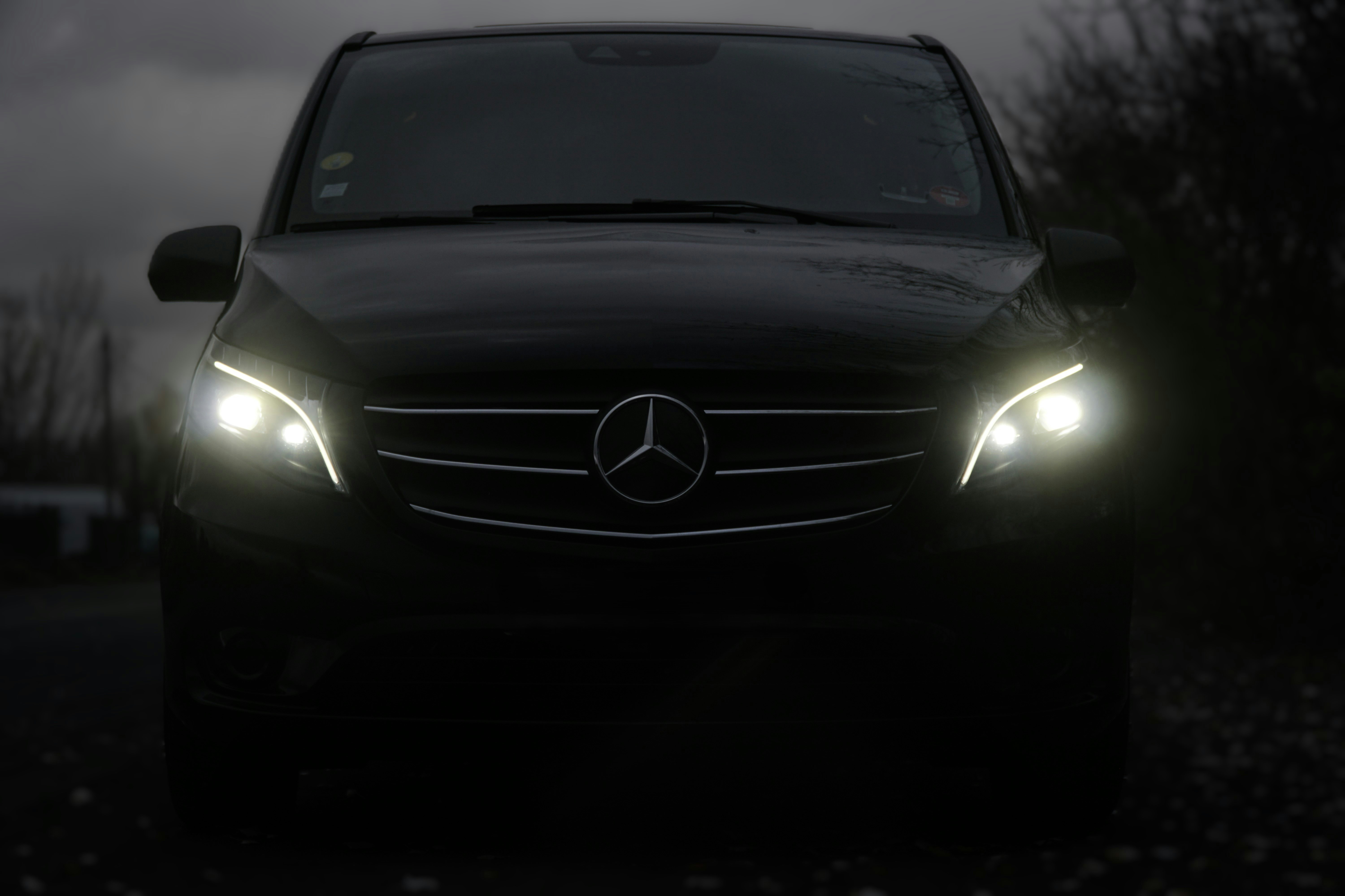 Sprinter / Executive Van